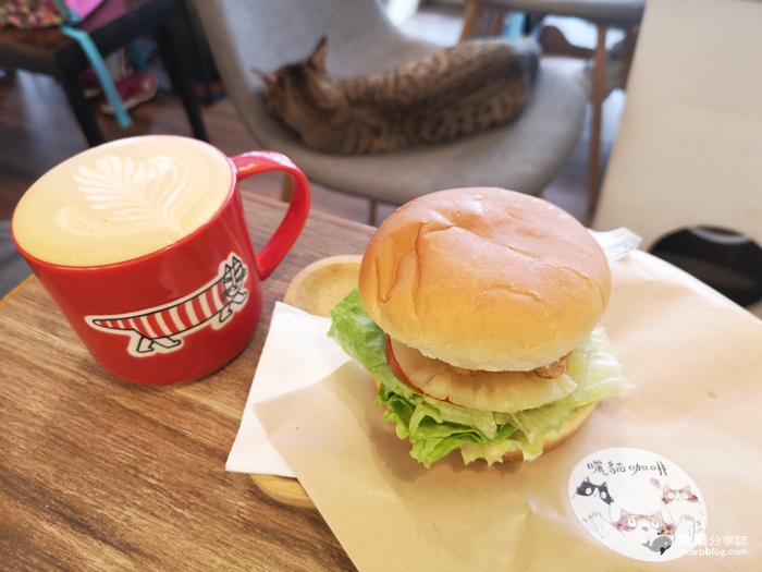 【台北大安】曬貓咖啡│科技大樓站療癒系貓咪咖啡店 輕食早午餐 @魚樂分享誌