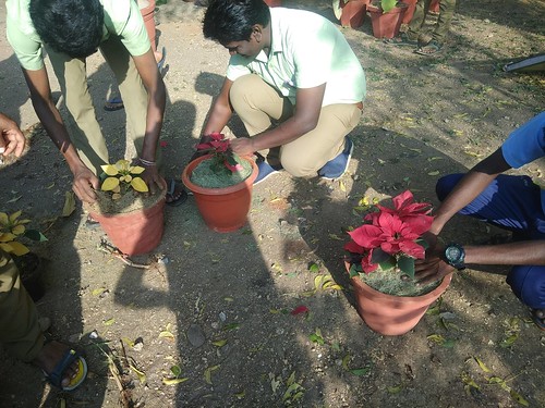 Potting and Repotting of Ornamental Plants - IARD, Coimbatore