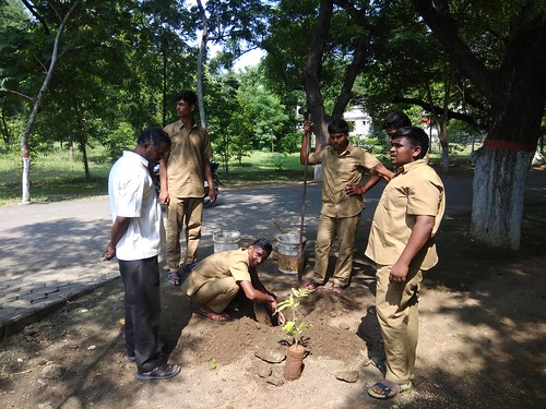 Planting of Tree Saplings - IARD, Coimbatore
