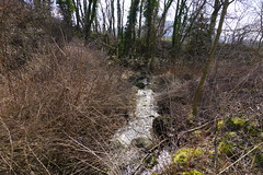 Ruisseau de Grattepanche @ Villaz