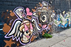 Camera with Tongue, Brooklyn, NY