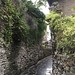 Qingyan alleyways