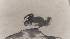 Bada Shanren 八大山人 (朱耷), Lotus and Ducks