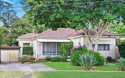 19 Archibald St, Padstow NSW 2211