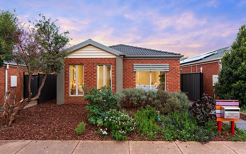41 Dargy Amble, Point Cook VIC 3030