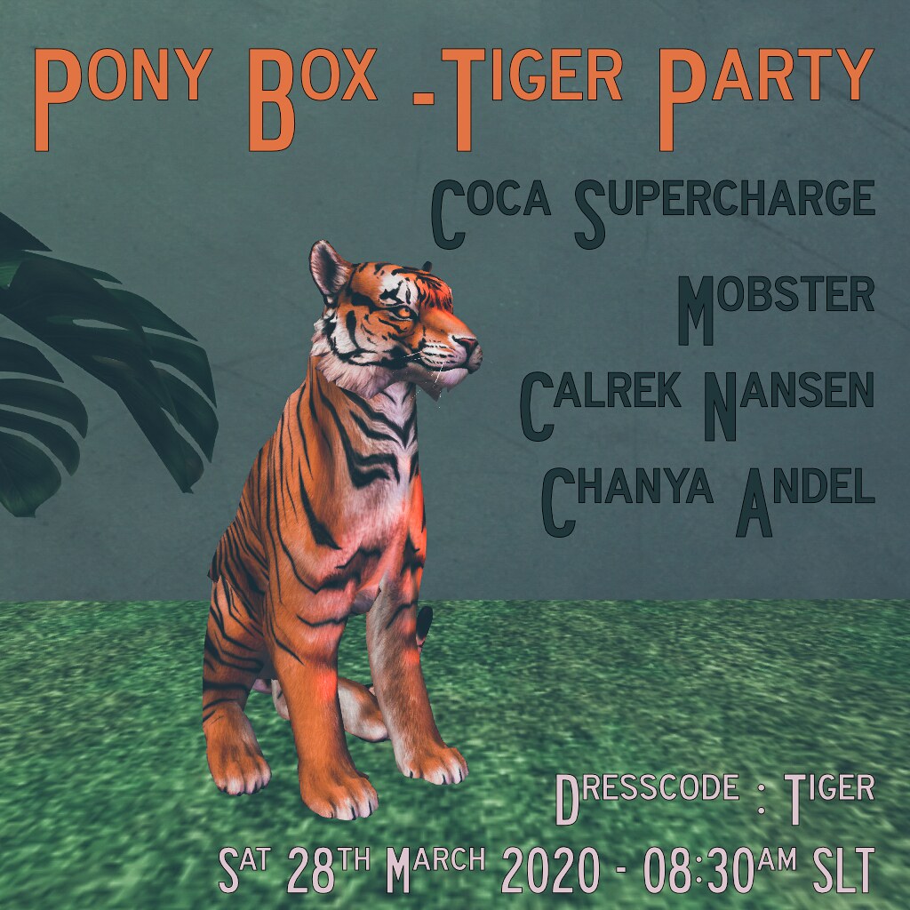 Tiger Party images