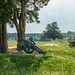 Battle of Yorktown • <a style="font-size:0.8em;" href="http://www.flickr.com/photos/26088968@N02/49721756588/" target="_blank">View on Flickr</a>