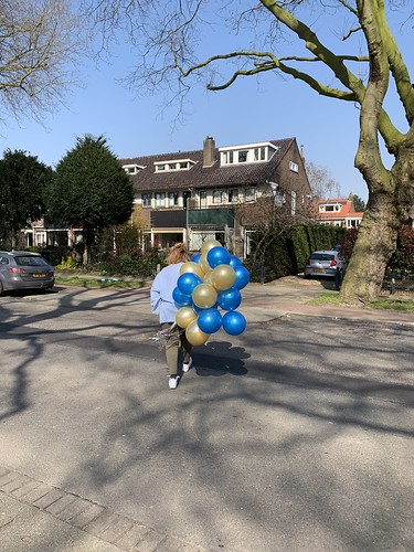 Heliumballonnen Molenlaan Hillegersberg Rotterdam
