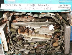 Jack bug hotel 2 _full • <a style="font-size:0.8em;" href="http://www.flickr.com/photos/97750035@N04/49727304528/" target="_blank">View on Flickr</a>