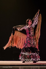 Sabor Flamenco (31).jpg2.jpg Tiers • <a style="font-size:0.8em;" href="http://www.flickr.com/photos/161151931@N05/49728113767/" target="_blank">View on Flickr</a>