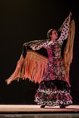 Dominique.P Sabor Flamenco NDO (31).jpg3 • <a style="font-size:0.8em;" href="http://www.flickr.com/photos/161151931@N05/49728140887/" target="_blank">View on Flickr</a>