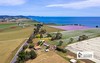 599 Tollymore Road, Table Cape TAS