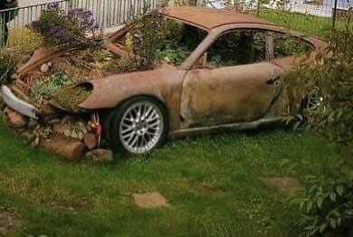 Porsche Weeds - if it sits long enough this might happen.  When/Where the last time you drove yours?  Like Share Tag Add Story   Keeping Porsches on the Road Globally 22+ years! What does yours need? Share with your community!