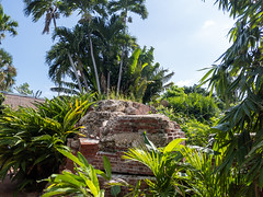 West Martello Tower Garden Club