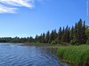 Elk Lake at Itasca St Park, 15 July 2019