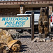 Ruidoso Police Department sign