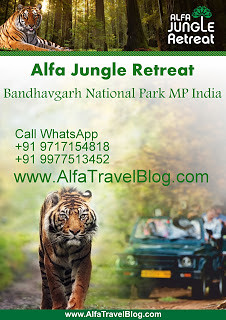 12-57-03-Alfa+Jungle+Retreat+Bandhavgarh+National+Park+MP+India