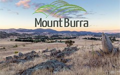 Lot 203 Mount Burra, Burra NSW