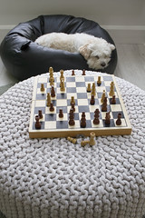 ... c is for chess ...