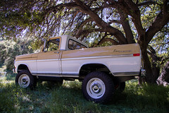 ICON_Ford_70_Reformer_34_Low_Shade_Under_Tree_IMG_9590