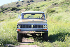 ICON_Ford_Reformer_Nose_Flower_Field_Dirt_Trail_ALT_IMG_1682