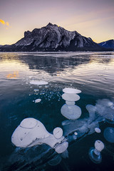 Methane Bubbles, Abraham Lake, Kootenay Plains, Canadian Rockies