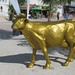 Golden Cow