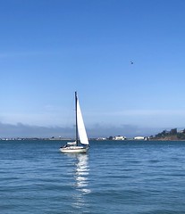 San Francisco Bay this afternoon