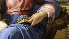 Raphael, The Alba Madonna, detail with book