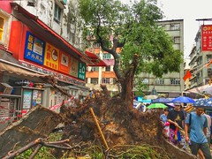 Typhoon Mangkhut, nature disaster, Tai Po, Hong Kong