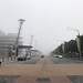 Foggy morning in Sydney Olympic Park