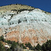 Colton Formation (Paleocene-Eocene; Salina Canyon, Sevier County, Utah, USA) 11