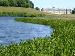 Petworth House, WestSussex