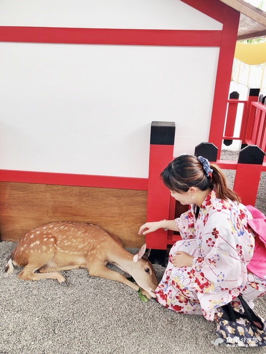 【宜蘭三星】張美阿嬤農場- 一秒飛日本 穿美美和服餵小鹿｜門票 交通資訊 @魚樂分享誌