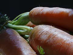 Carrots Sunbathing