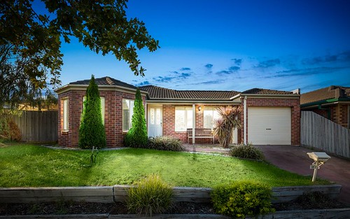 16 Abbotswood Drive, Hoppers Crossing VIC 3029