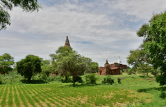 Myanmar_(Birmania)_D810_2222