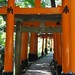 Fushimi Inari Shrine Torii Gates | Kyoto, Japan