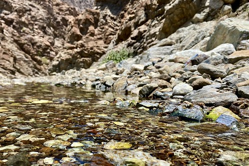 Wadi Shees Natural Trail UAE