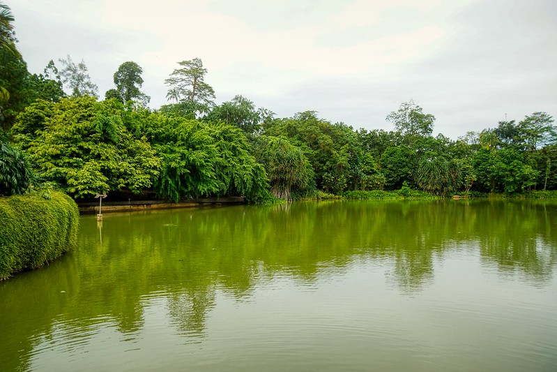Symphony lake in the Botanic Gardens of Singapore<br/>© <a href="https://flickr.com/people/8136604@N05" target="_blank" rel="nofollow">8136604@N05</a> (<a href="https://flickr.com/photo.gne?id=50052317356" target="_blank" rel="nofollow">Flickr</a>)