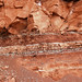 Redbeds (Chugwater Formation, Upper Triassic; south of Thermopolis, Wyoming, USA) 13