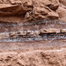 Redbeds (Chugwater Formation, Upper Triassic; south of Thermopolis, Wyoming, USA) 19