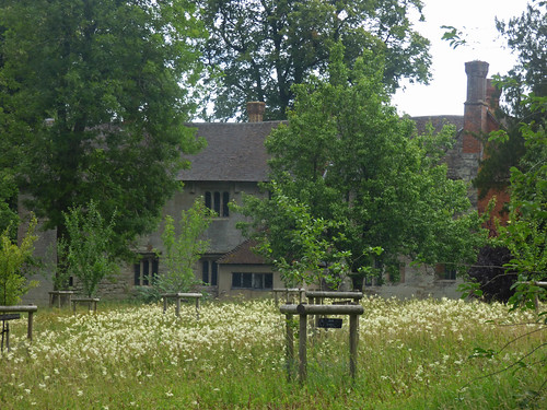 Wildflower Meadow at Baddesley Clinton towards the moated manor house