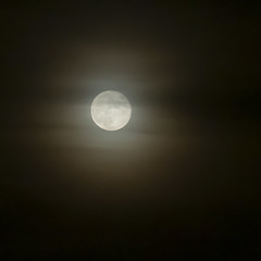 Moon Fog