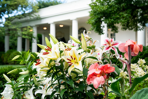 White House Rose Garden by The White House, on Flickr