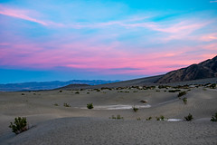 Mesquite Flat at Sunset
