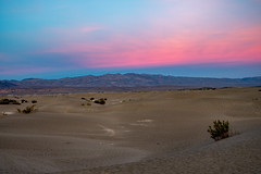 Mesquite Flat at Sunset