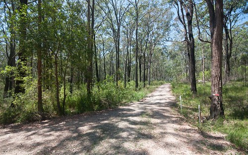 Lot 424, Deepwater Road, North Arm Cove NSW