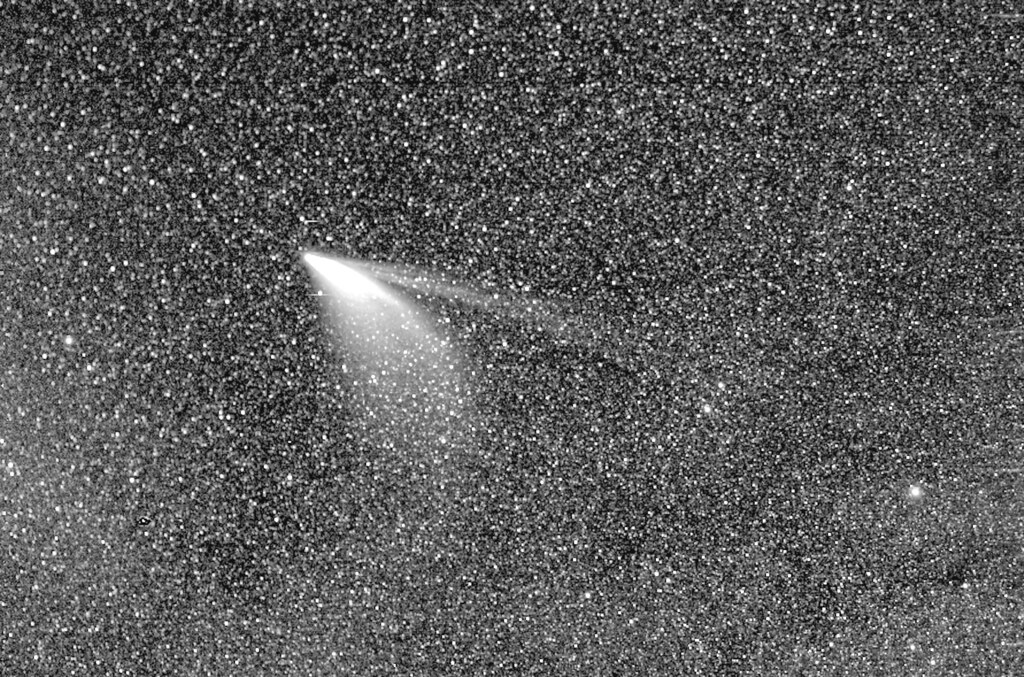 The Comet Tails images