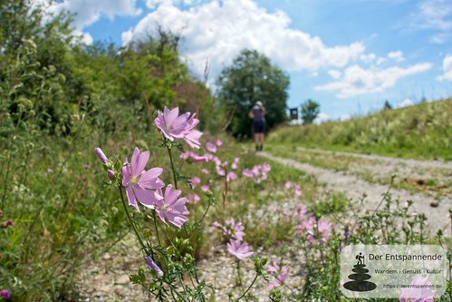 Wisper-Trail "Via Monte Preso" rund um Presberg